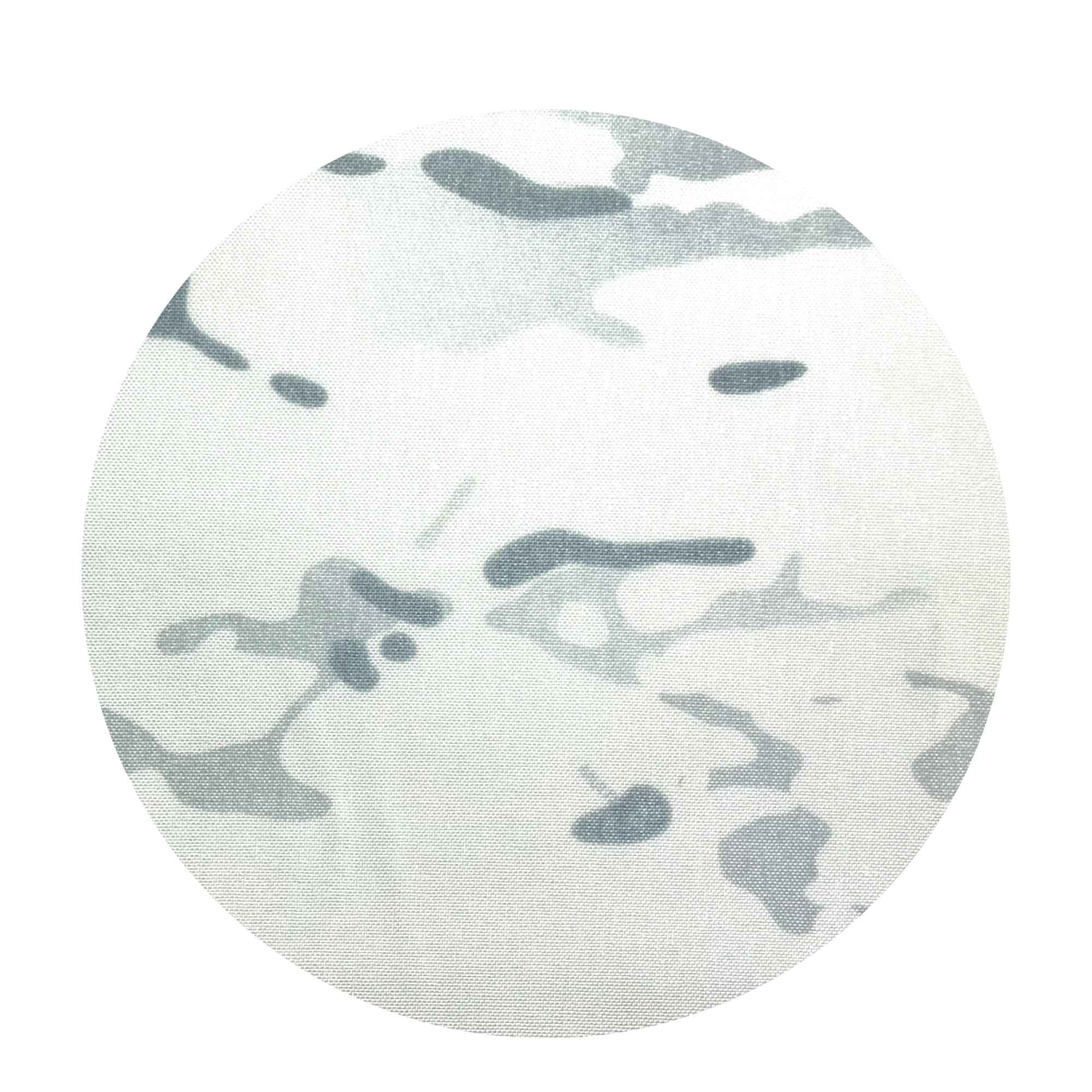 500D Cordura® - MultiCam® - Image 5