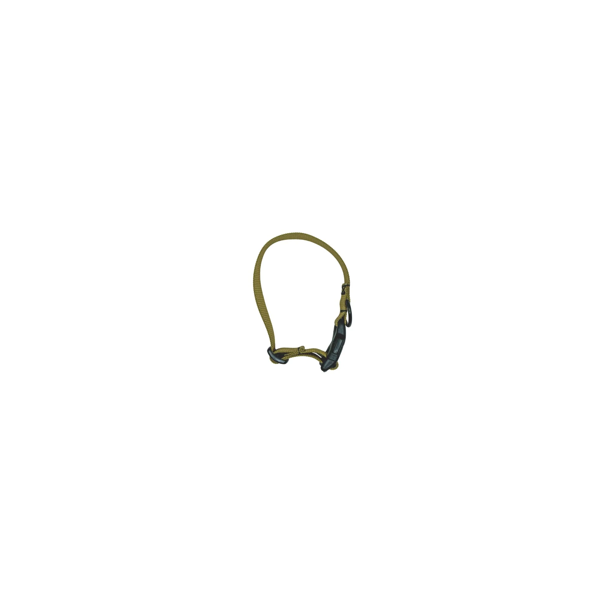 Dog Collar Kit - Image 3