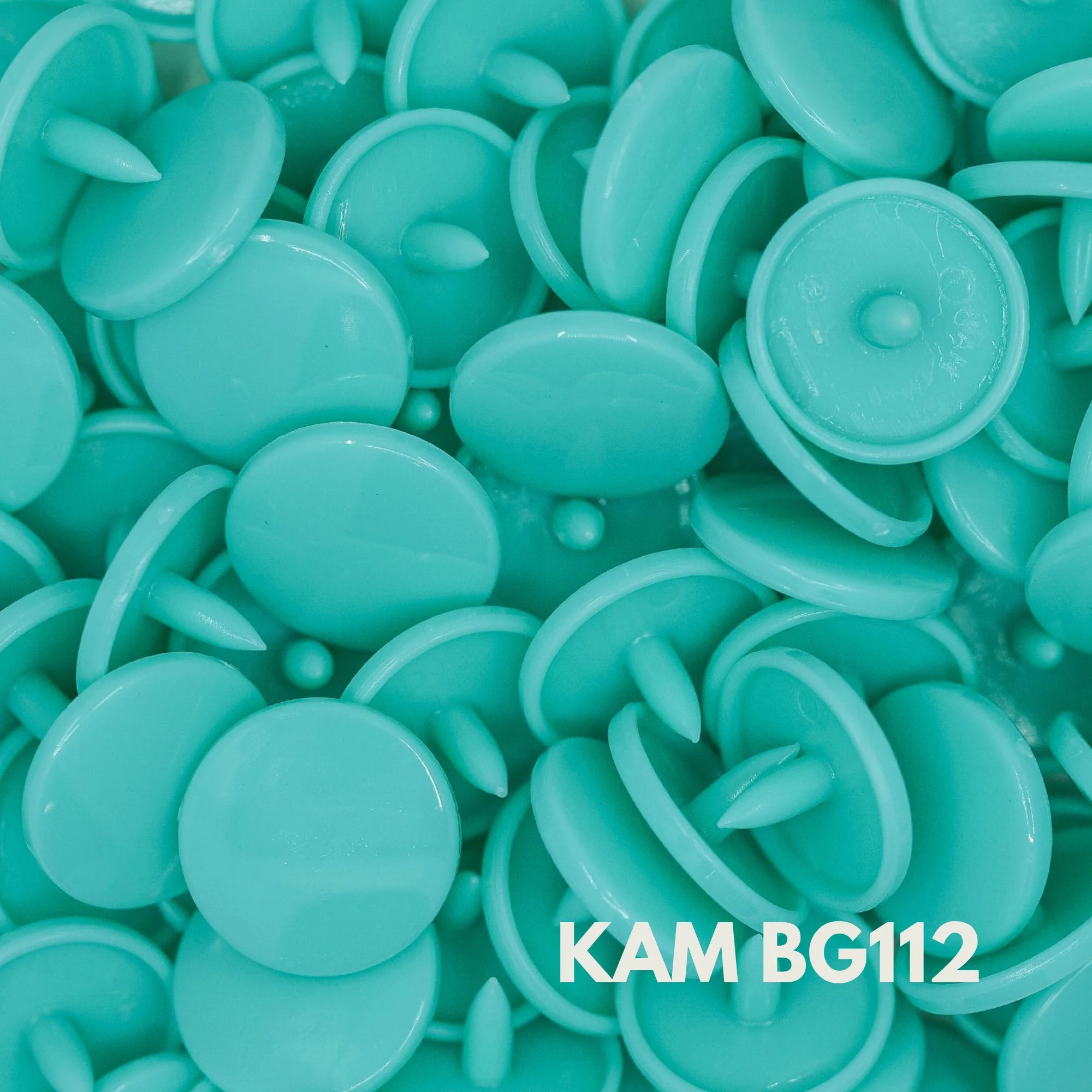 KAM Snaps - Image 3