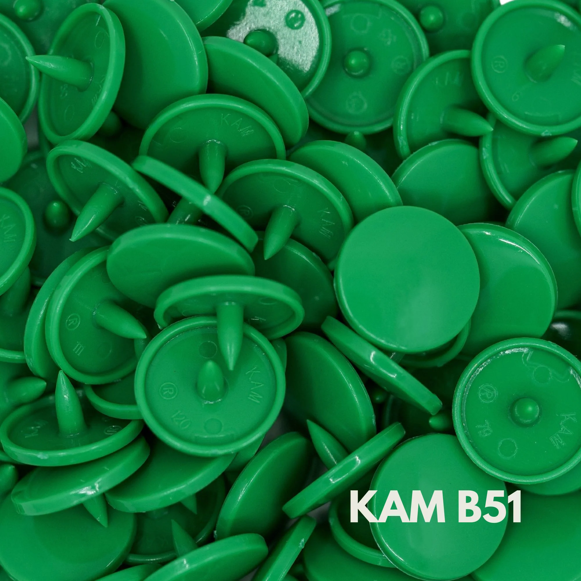 KAM Snaps - Image 5
