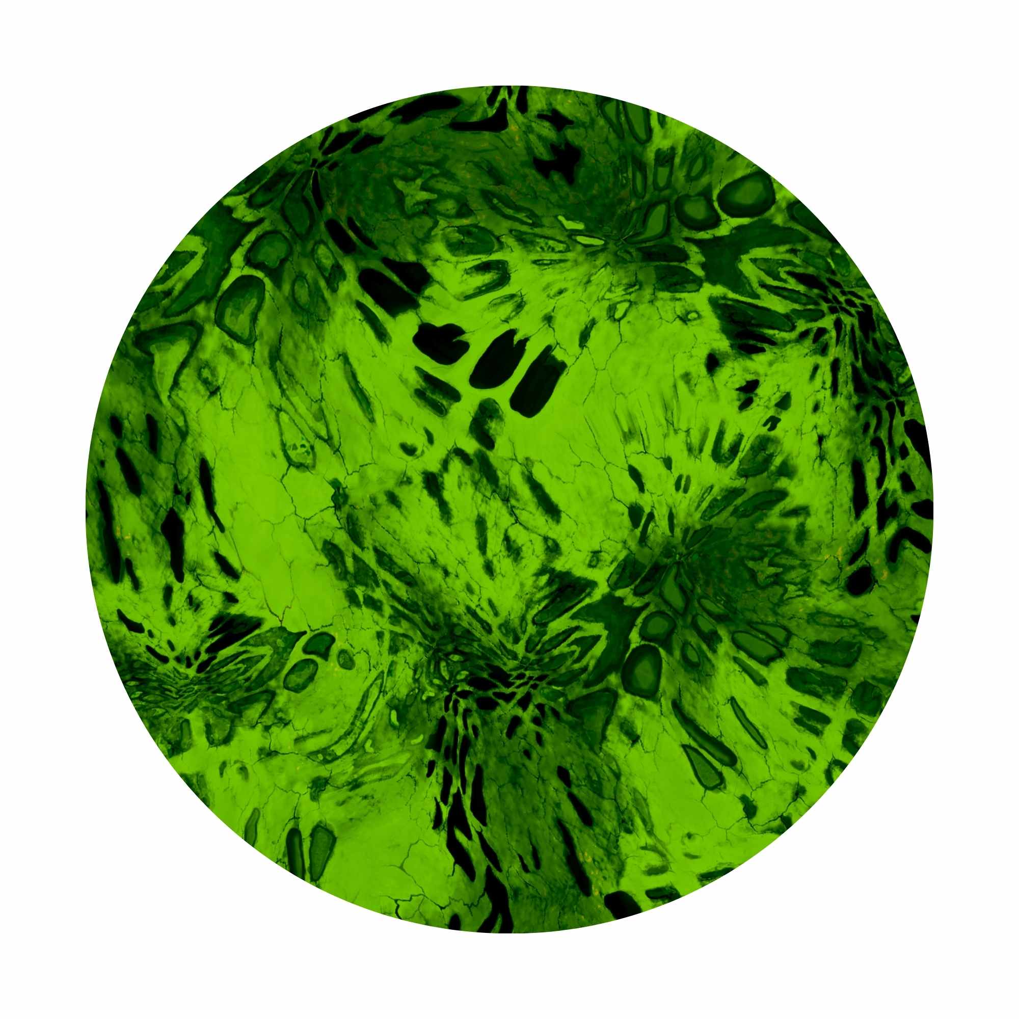 Prym1 Camo - Print On-Demand Fabric - Image 13