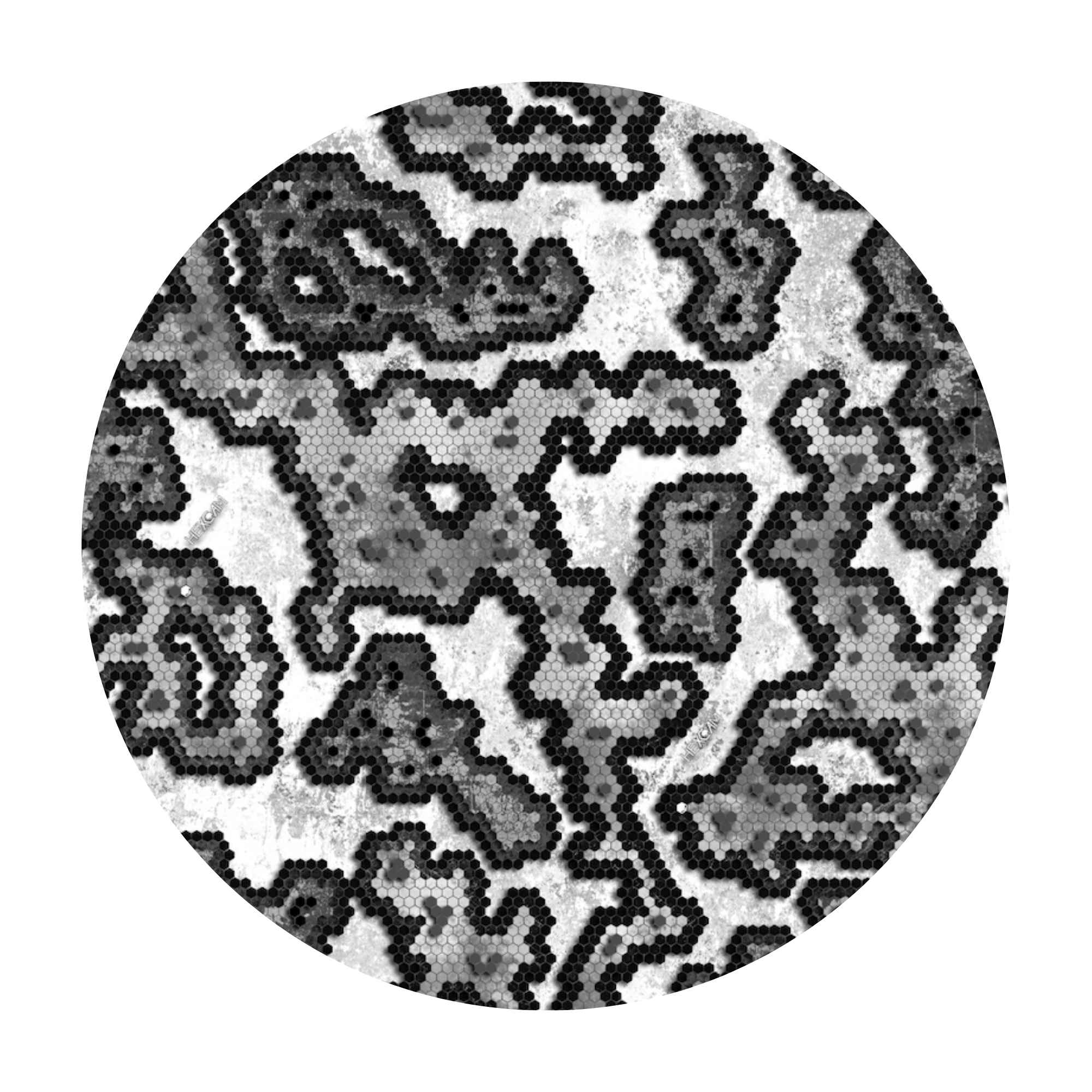 X-Pac® VX15 - HexCam® - Image 3