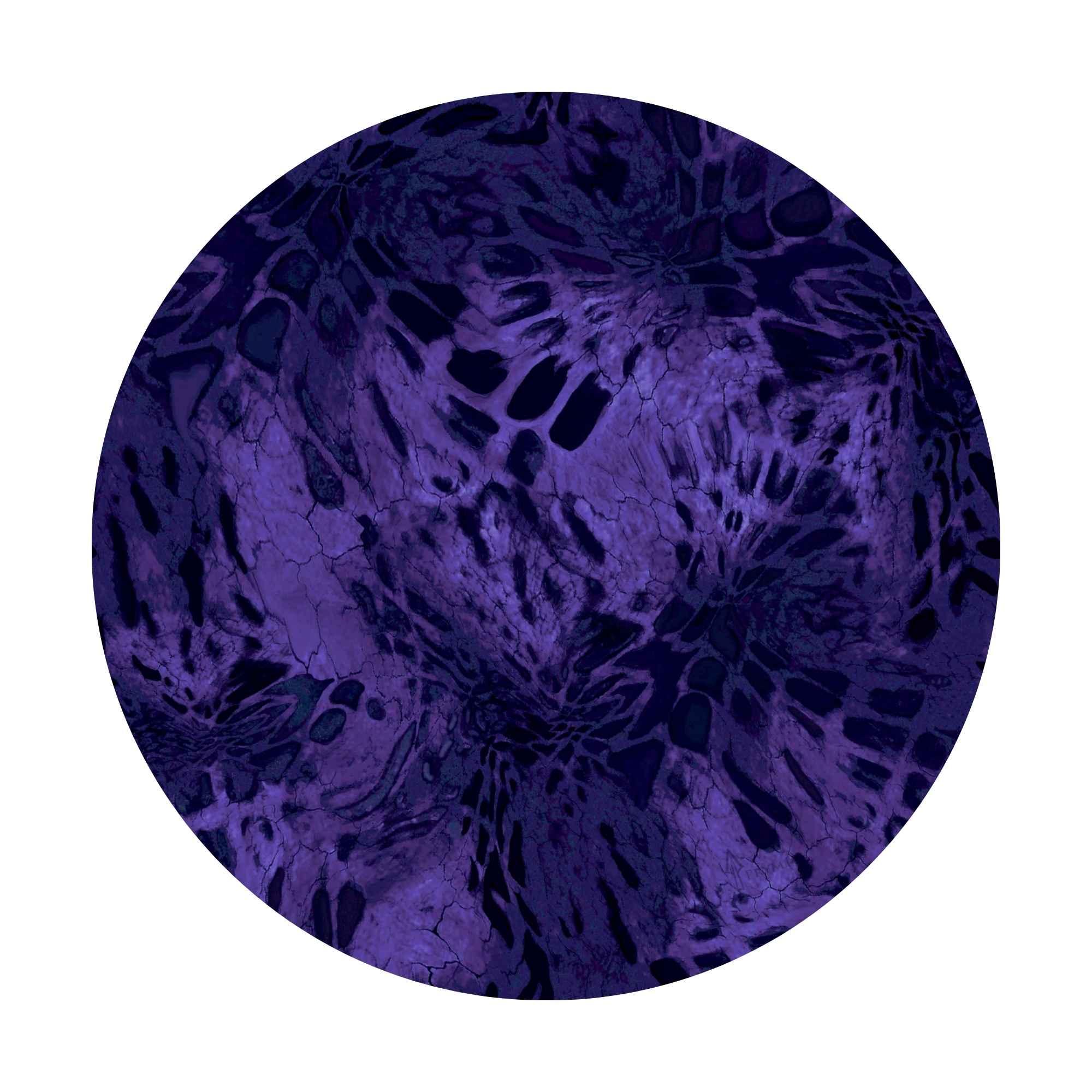 X-Pac® VX15 - Prym1 Camo - Image 3